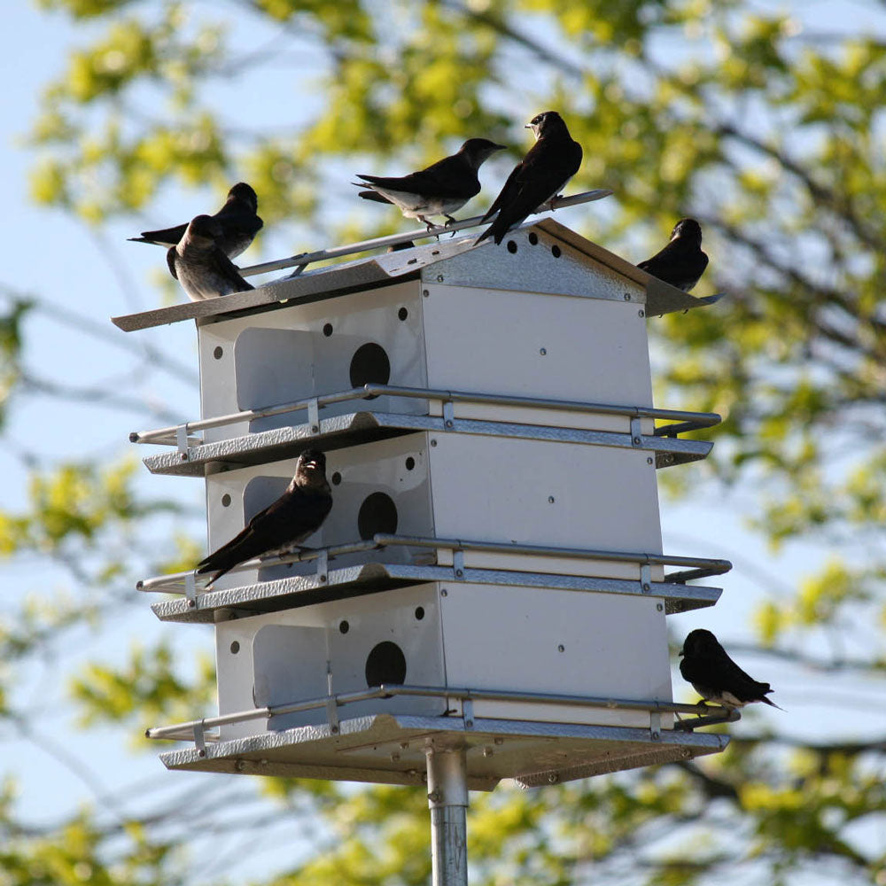 Purple Martin House Coates Round Entrance Holes 3 Floor 12 Room Assembled - Birds Choice