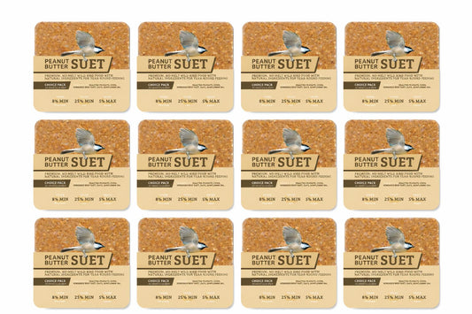 PEANUT NO MELT SUET - 12 PACK