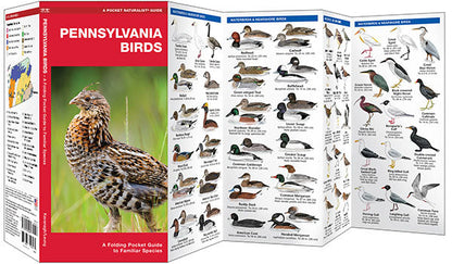 Pennsylvania Birds Pocket Guide