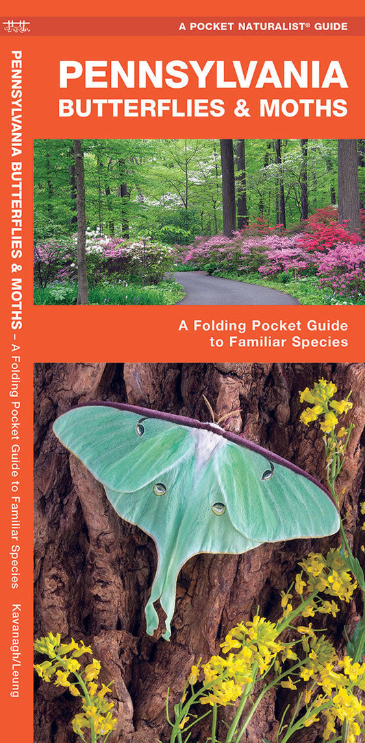 Pennsylvania Butterflies & Moths Pocket Guide