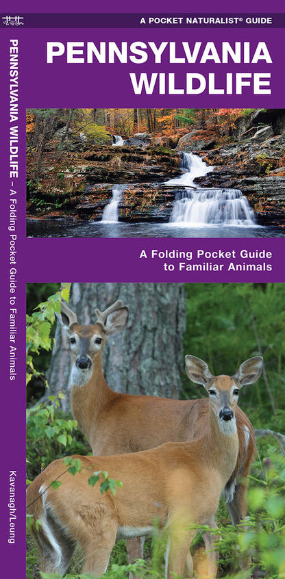 Pennsylvania Wildlife Pocket Guide