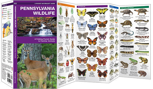 Pennsylvania Wildlife Pocket Guide