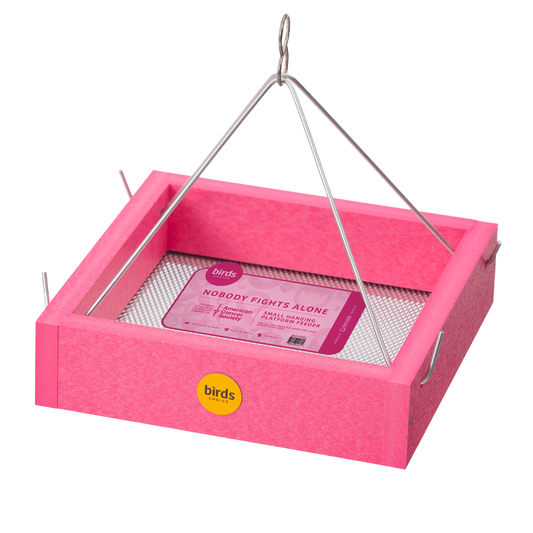 Small Hanging Tray Bird Feeder in Pink Recycled Plastic - Limited Edition