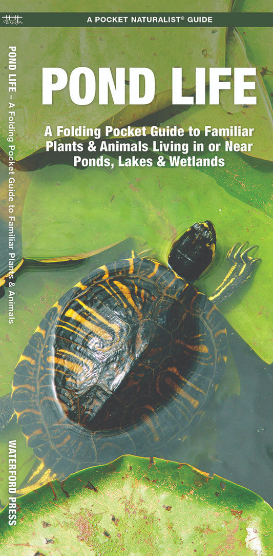 Pond Life Pocket Guide