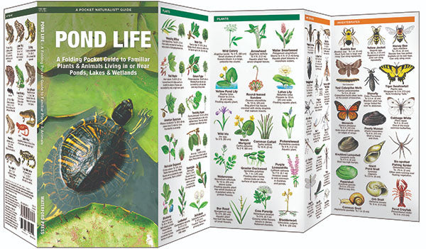 Pond Life Pocket Guide