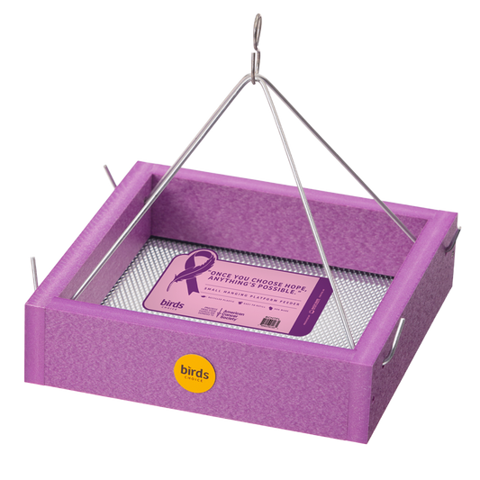 Small Hanging Tray Bird Feeder in Purple Recycled Plastic-Limited Edition