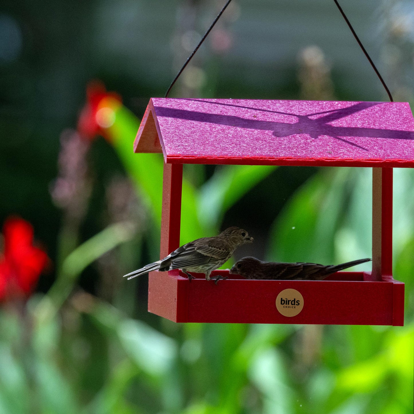 Recycled Plastic Fly-Thru Feeder in Red