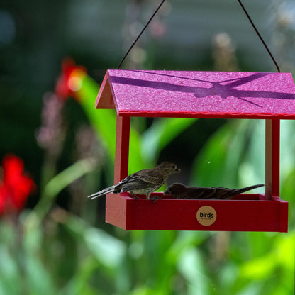 Recycled Plastic Fly-Thru Feeder in Red