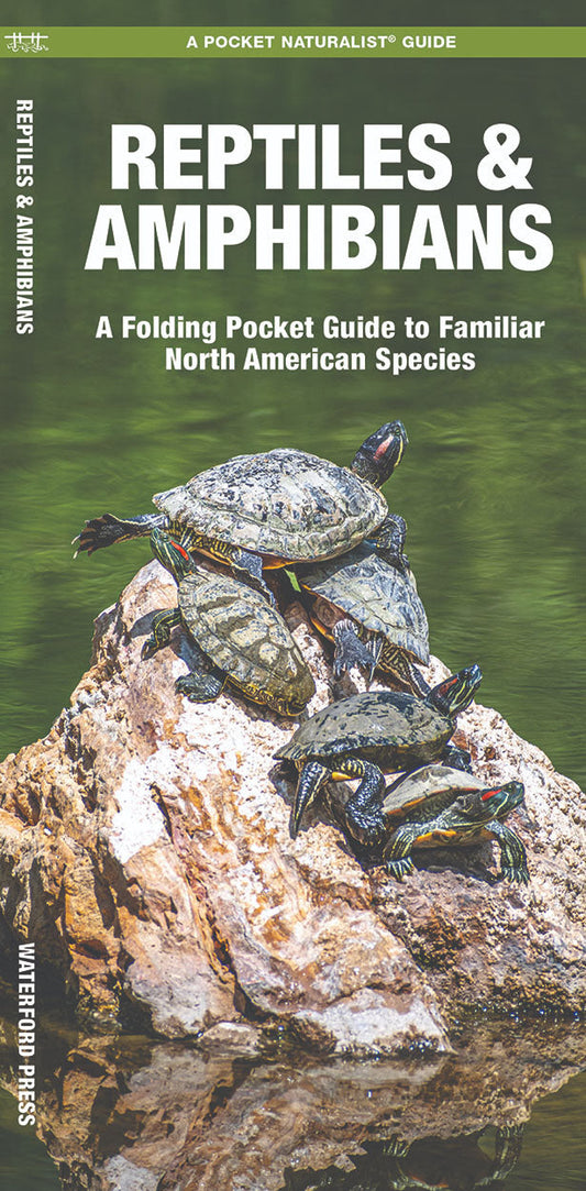 Reptiles & Amphibians Pocket Guide