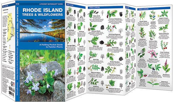 Rhode Island Trees & Wildflowers Pocket Guide