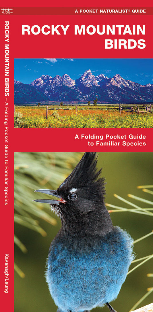 Rocky Mountain Birds Pocket Guide