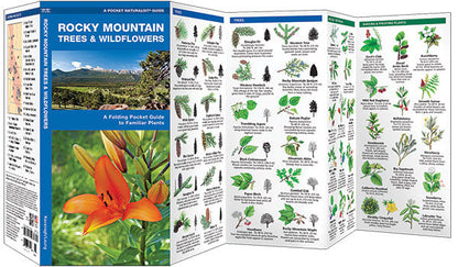 Rocky Mountain Trees & Wildflowers Pocket Guide