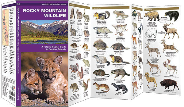 Rocky Mountain Wildlife Pocket Guide