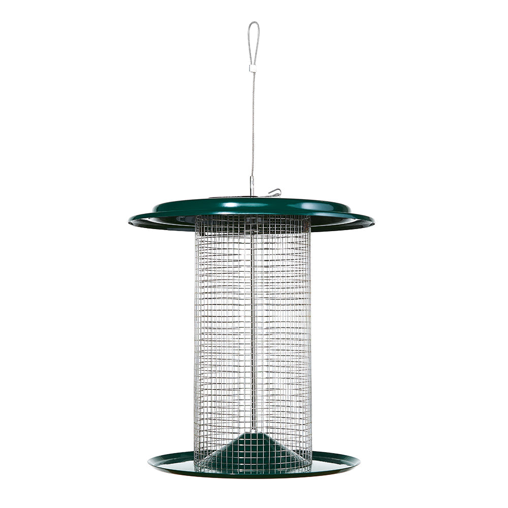 Sunflower Seed Bird Feeder in Green - Birds Choice