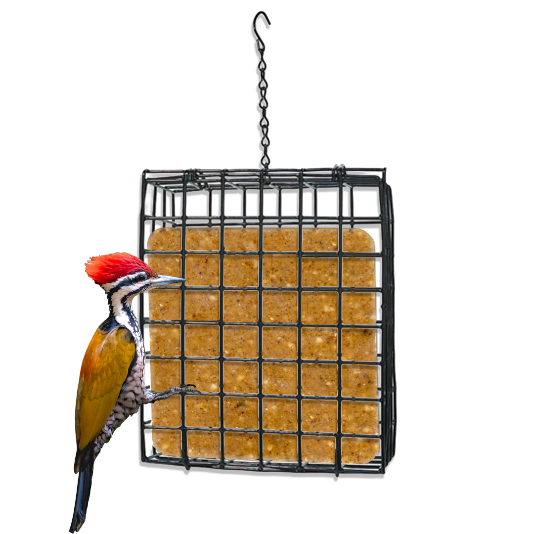 Suet Cage with Mounting Screws and Chain