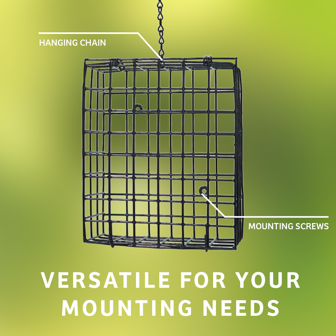 Suet Cage with Mounting Screws and Chain