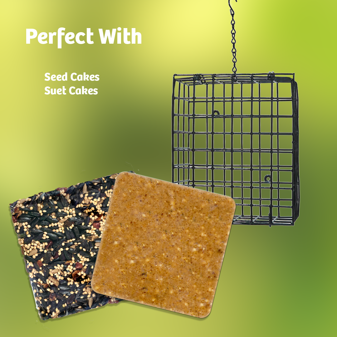 Suet Cage with Mounting Screws and Chain