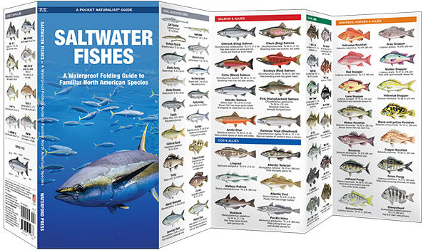 Saltwater Fishes Pocket Guide