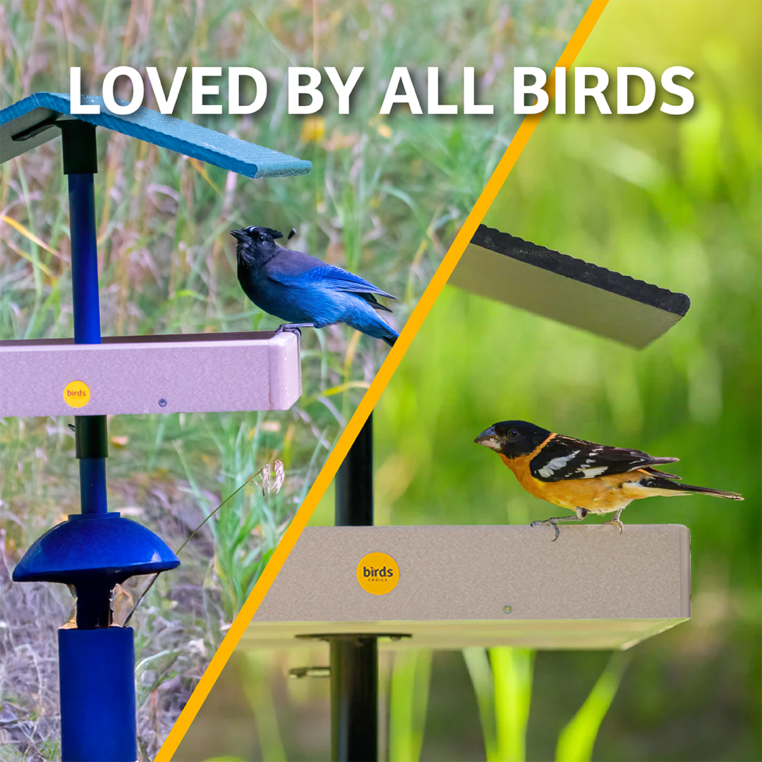 Seed Catcher Platform Bird Feeder Pole Mount in Taupe Recycled Plastic Large