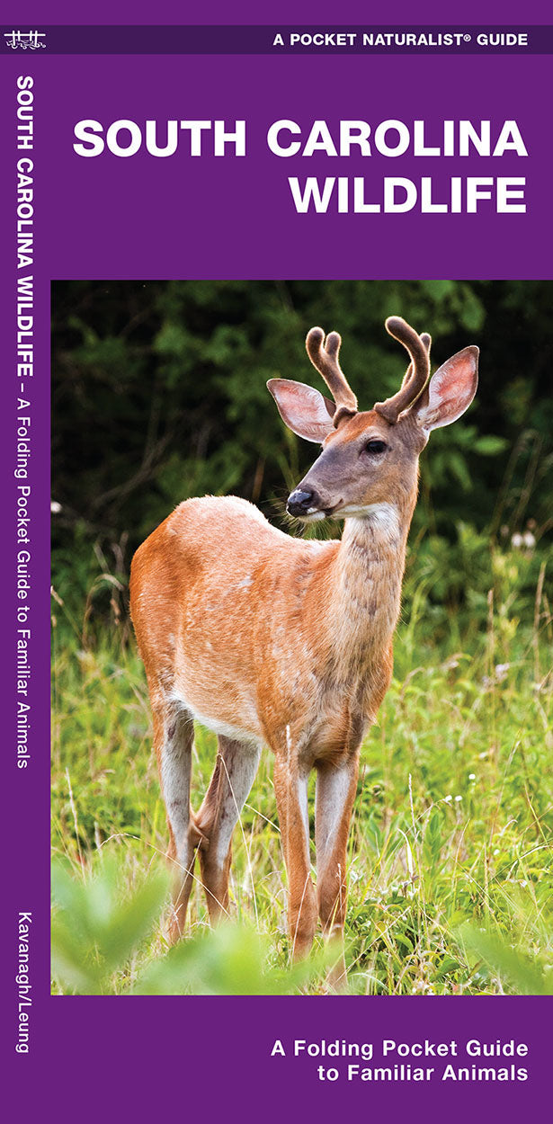 South Carolina Wildlife Pocket Guide Backyard Nature Products