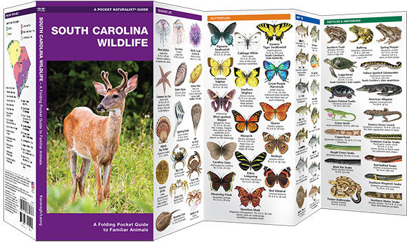 South Carolina Wildlife Pocket Guide