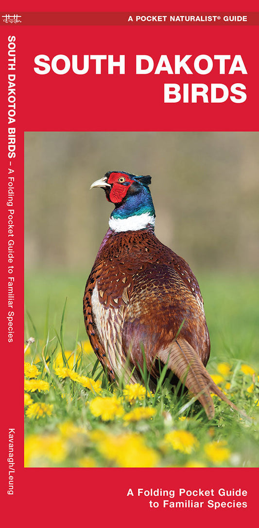 South Dakota Birds Pocket Guide