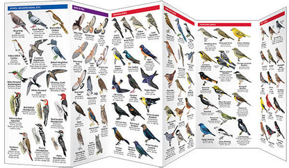 South Dakota Birds Pocket Guide