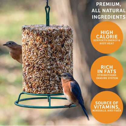 Trailblazin' Seed Cylinder - Small