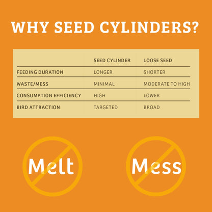Trailblazin' Seed Cylinder - Small