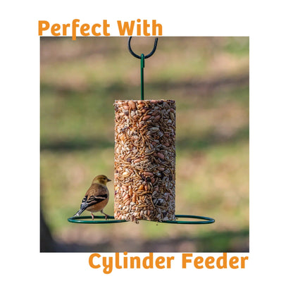 Trailblazin' Seed Cylinder - Small