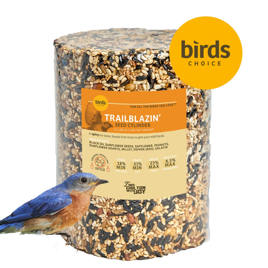 Trailblazin' Seed Cylinder - Large