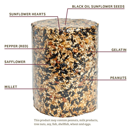 Trailblazin' Seed Cylinder - Large