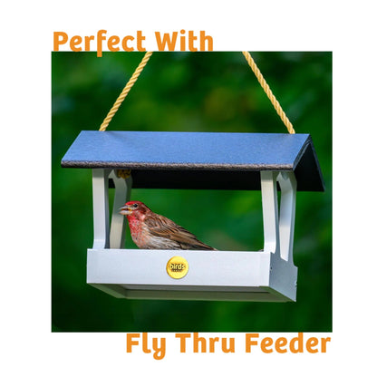 Trailblazin' Seed Cake