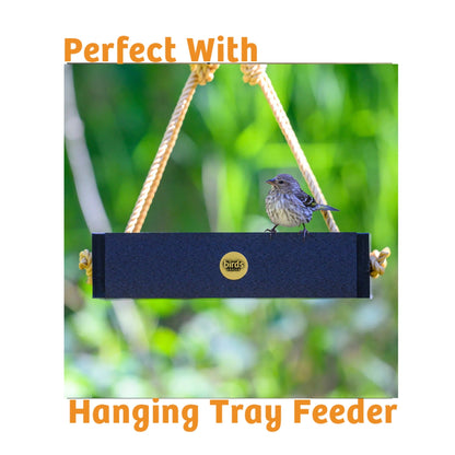 Trailblazin' Seed Cake