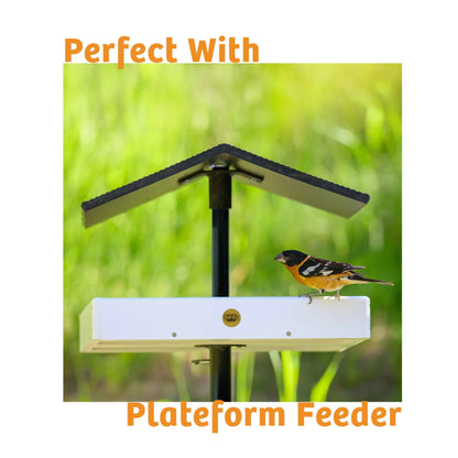 Trailblazin' Seed Cake