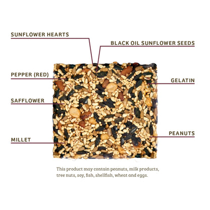 Trailblazin' Seed Cake