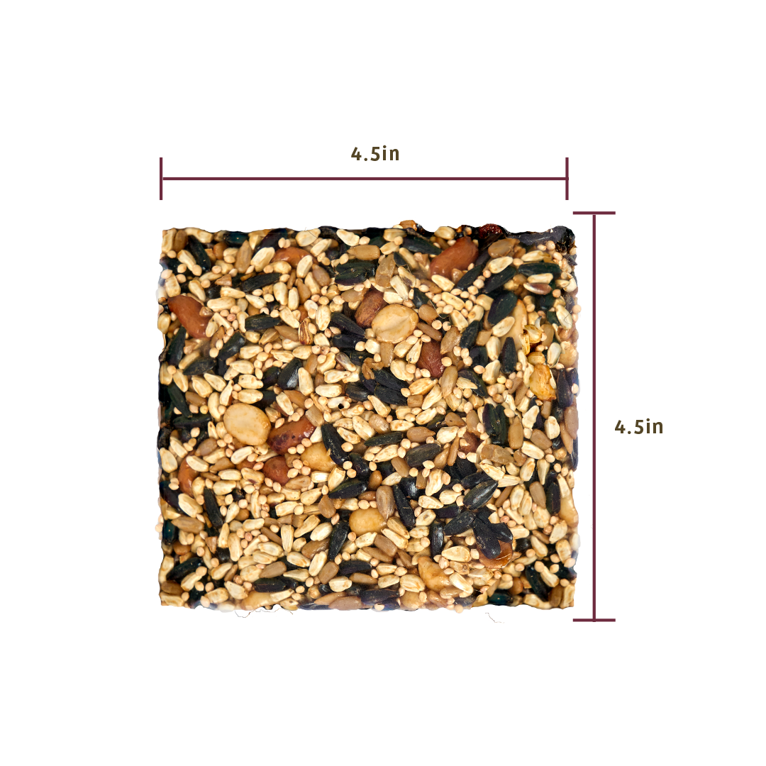 Trailblazin' Seed Cake