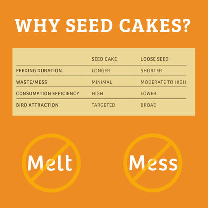 Trailblazin' Seed Cake