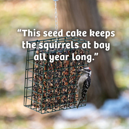 Trailblazin' Seed Cake