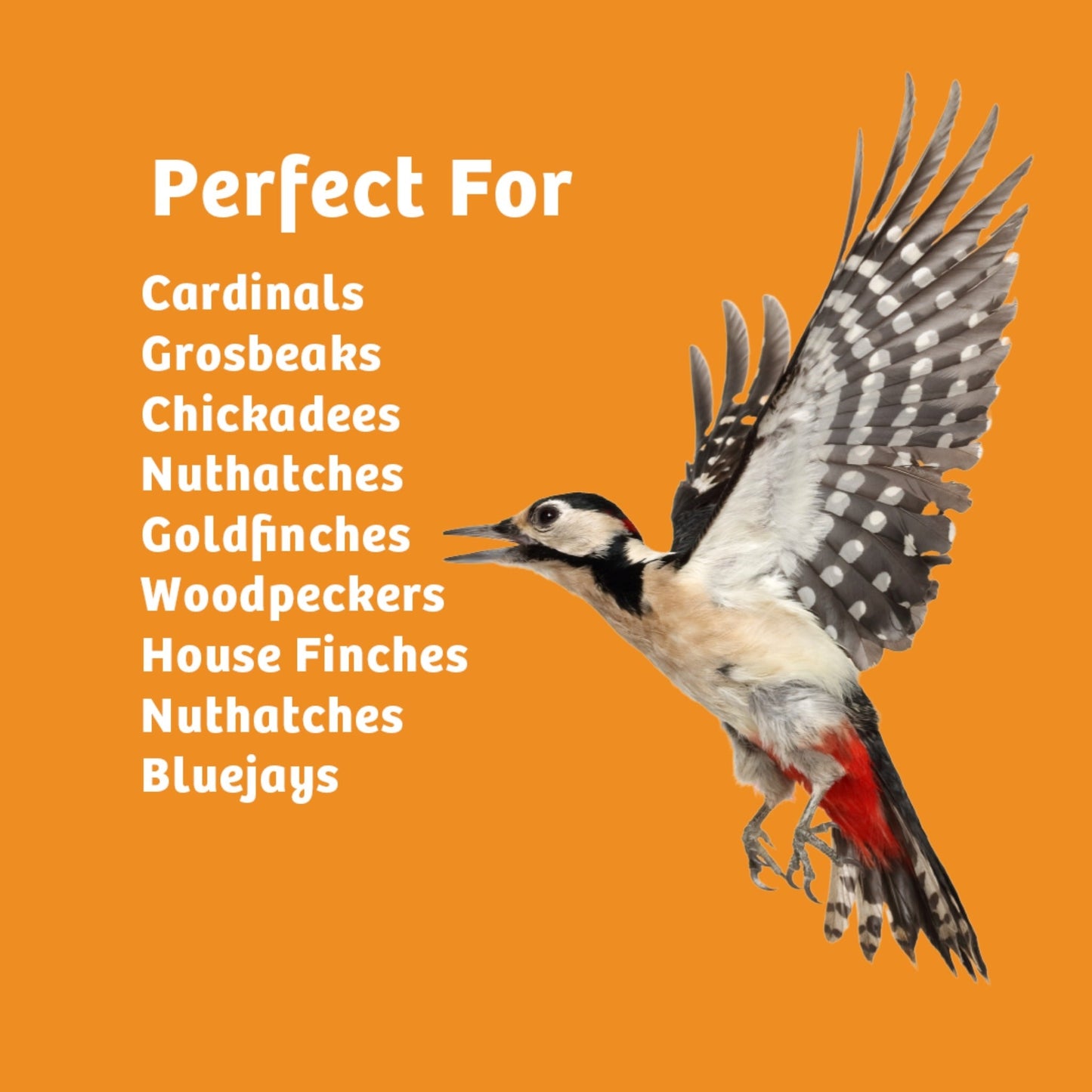 Trailblazin' Seed Cake