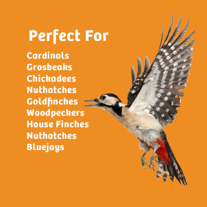 Trailblazin' Seed Cake