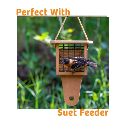 Trailblazin' Seed Cake