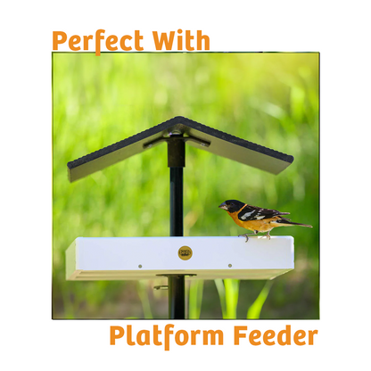 Trailblazin' Wild Bird Food - 10 lbs.