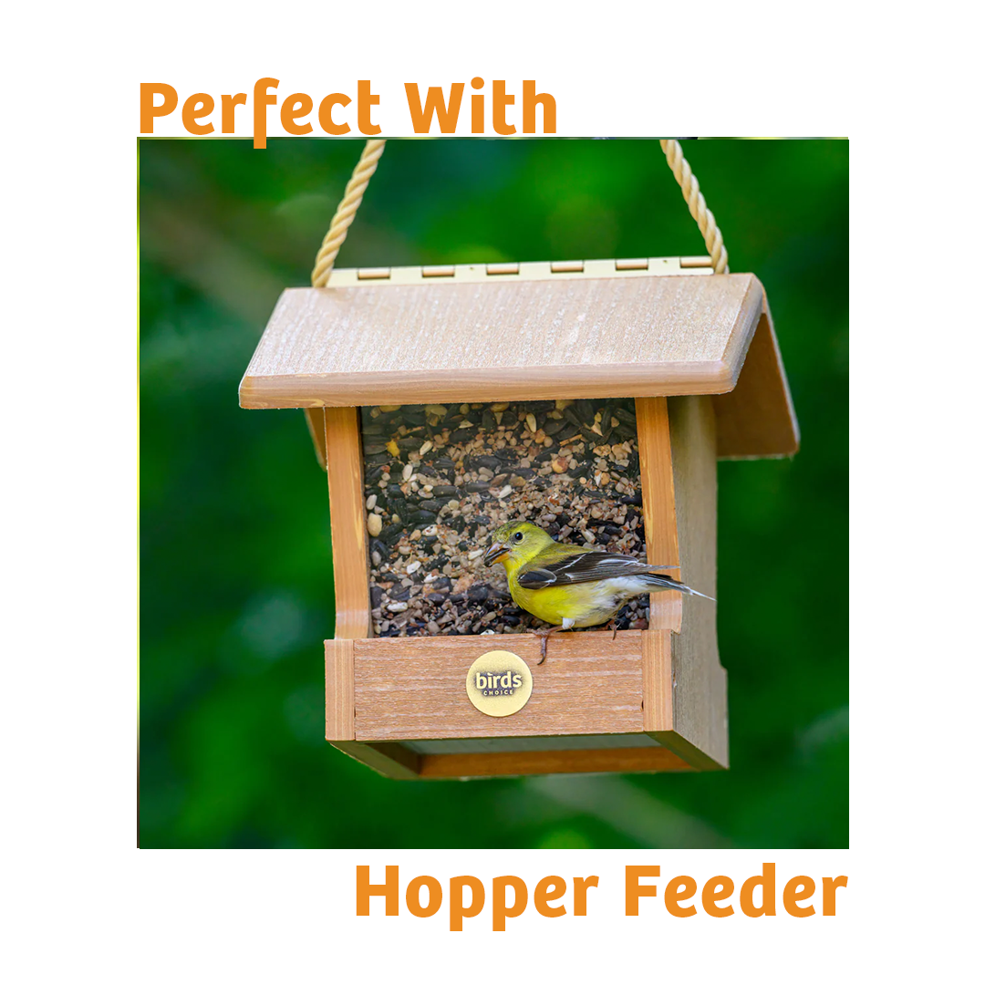 Trailblazin' Wild Bird Food - 10 lbs.