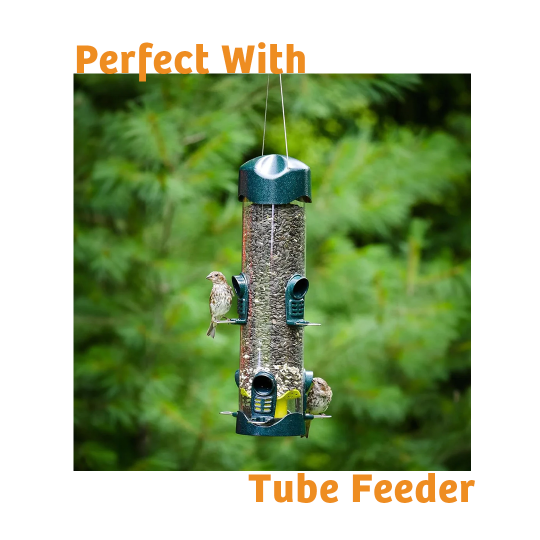 Trailblazin' Wild Bird Food - 10 lbs.