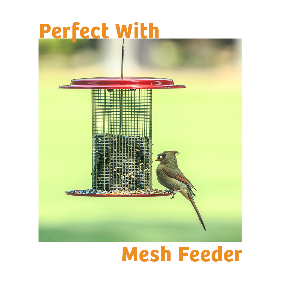 Trailblazin' Wild Bird Food - 10 lbs.