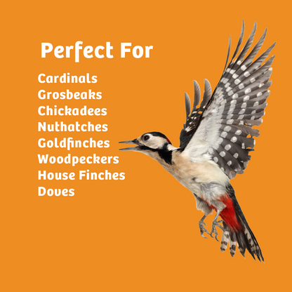 Trailblazin' Wild Bird Food - 5 lbs.