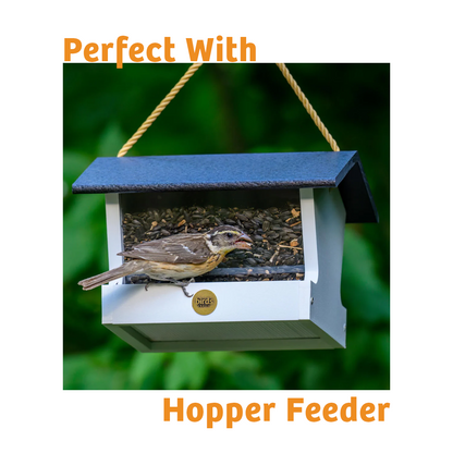 Trailblazin' Wild Bird Food - 5 lbs.