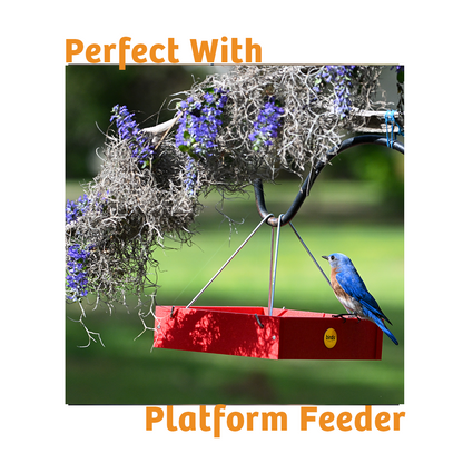 Hot Red Pepper No Melt Suet - 12 Pack