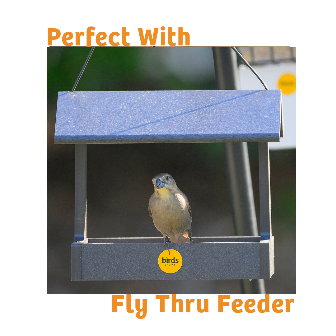 Hot Red Pepper No Melt Suet - 12 Pack